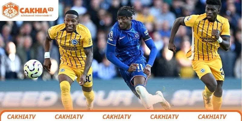 Thông tin sơ lược về trận đấu giữa Brighton vs Chelsea